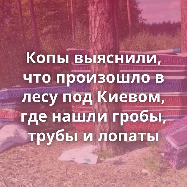 Копы выяснили, что произошло в лесу под Киевом, где нашли гробы, трубы и лопаты