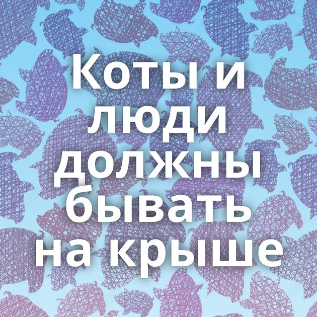 Коты и люди должны бывать на крыше