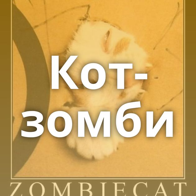 Кот-зомби