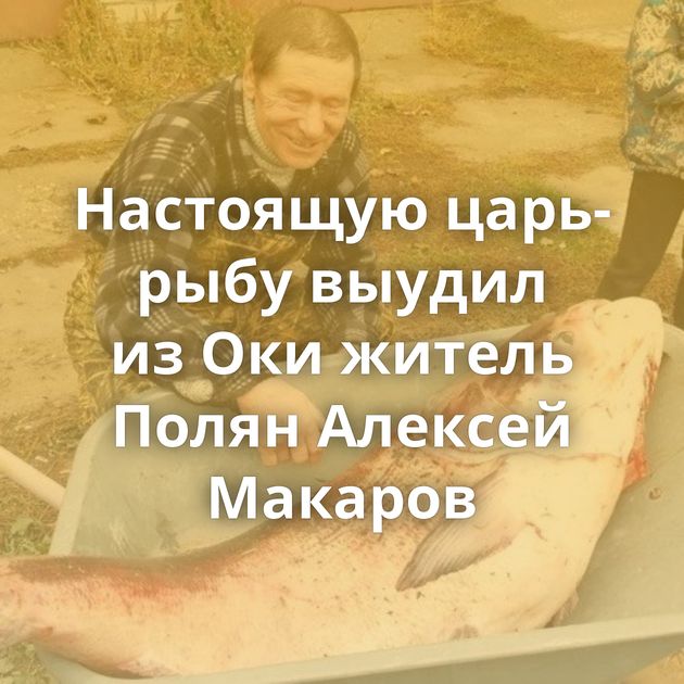 Настоящую царь-рыбу выудил из Оки житель Полян Алексей Макаров