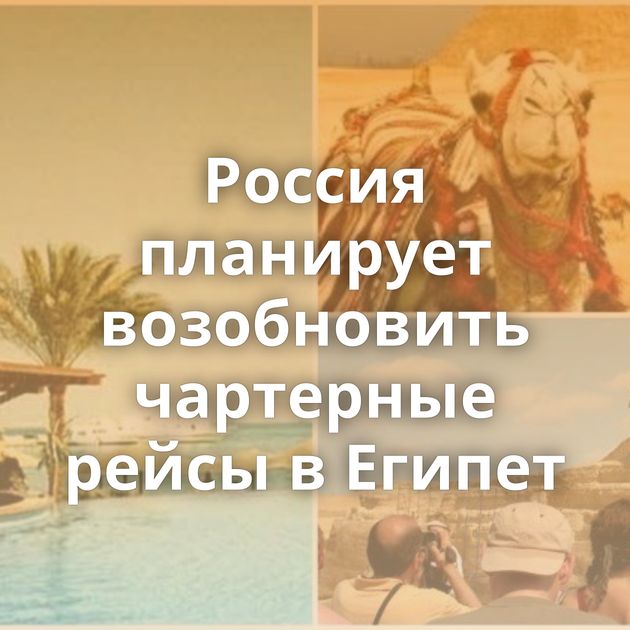 Россия планирует возобновить чартерные рейсы в Египет