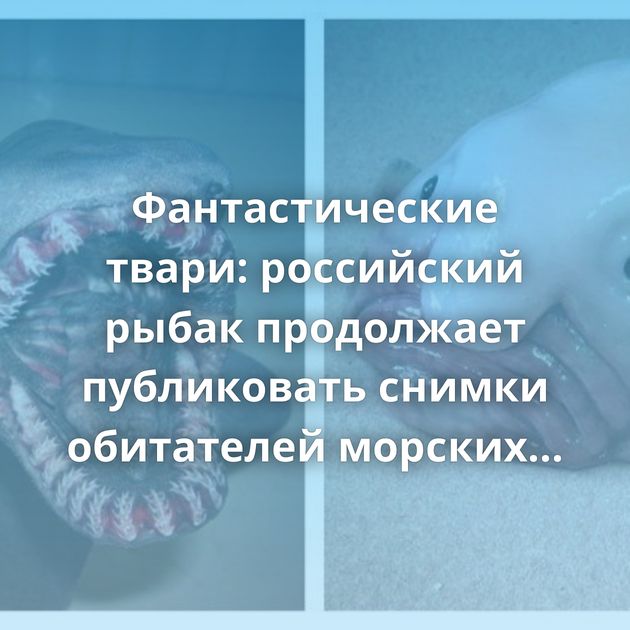 Фантастические твари: российский рыбак продолжает публиковать снимки обитателей морских глубин