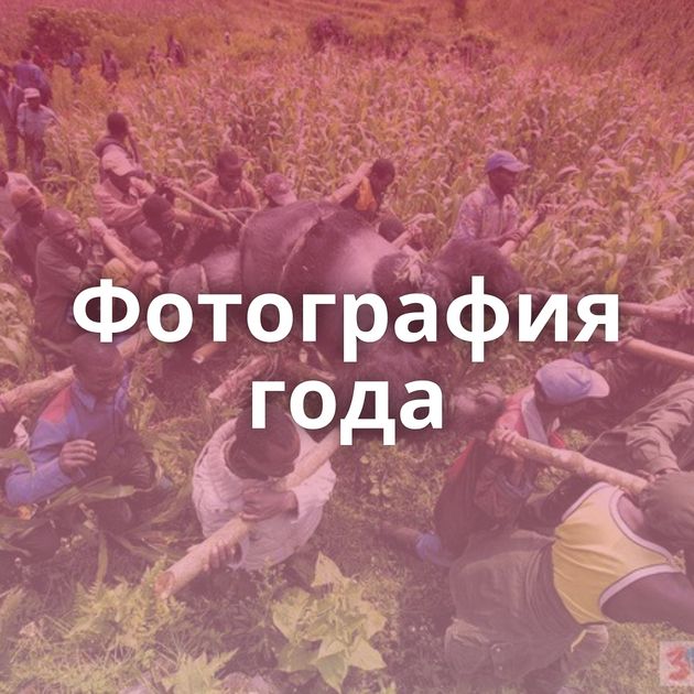 Фотография года