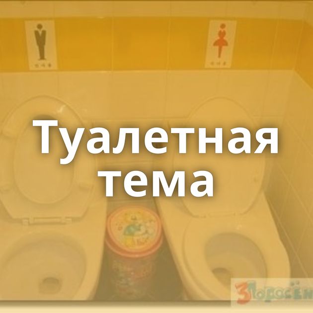 Туалетная тема
