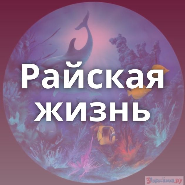Райская жизнь