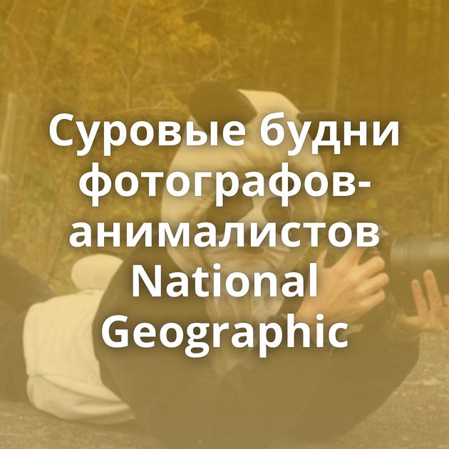Суровые будни фотографов-анималистов National Geographic