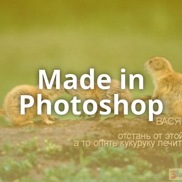 Made in Photoshop