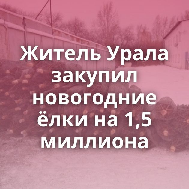 Житель Урала закупил новогодние ёлки на 1,5 миллиона