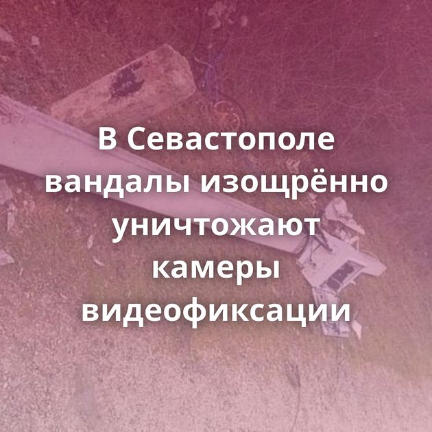 В Севастополе вандалы изощрённо уничтожают камеры видеофиксации