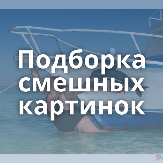 Подборка смешных картинок