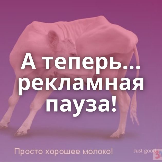А теперь... рекламная пауза!