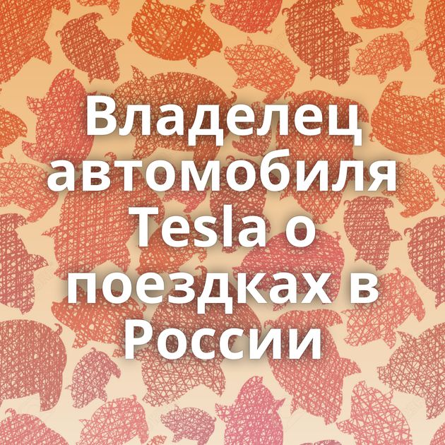 Владелец автомобиля Tesla о поездках в России