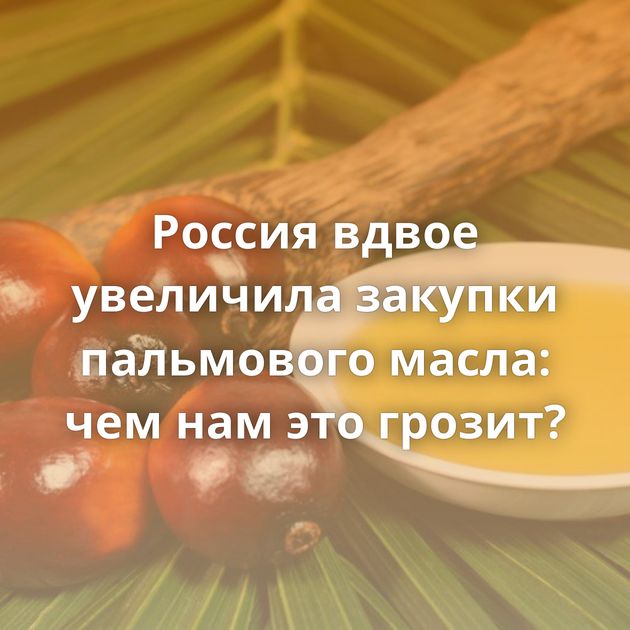 Россия вдвое увеличила закупки пальмового масла: чем нам это грозит?