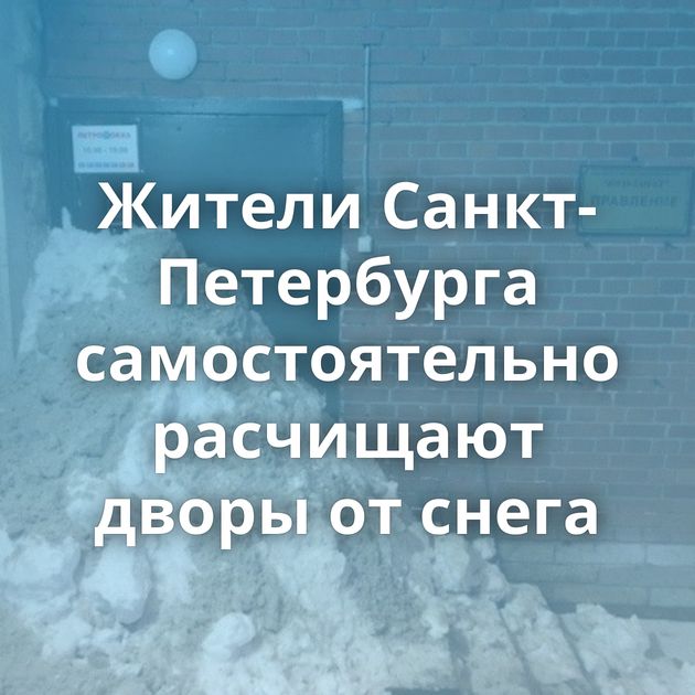 Жители Санкт-Петербурга самостоятельно расчищают дворы от снега