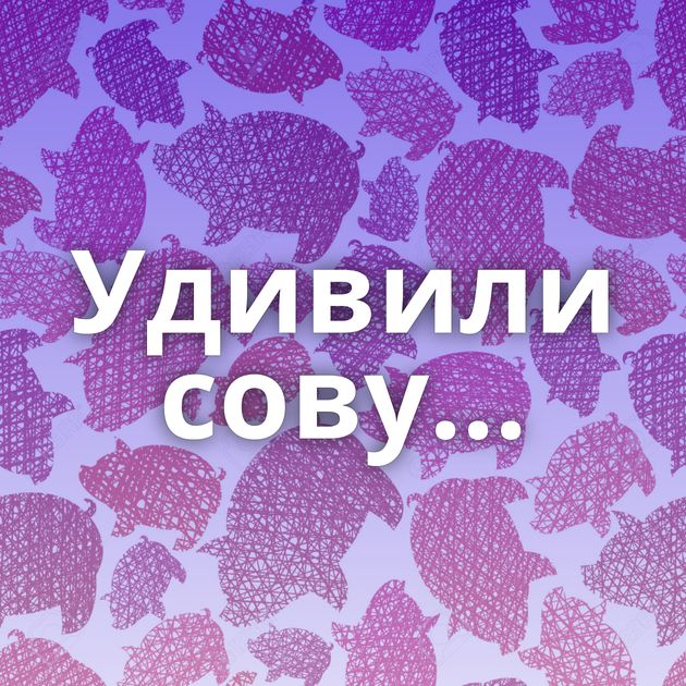 Удивили сову...