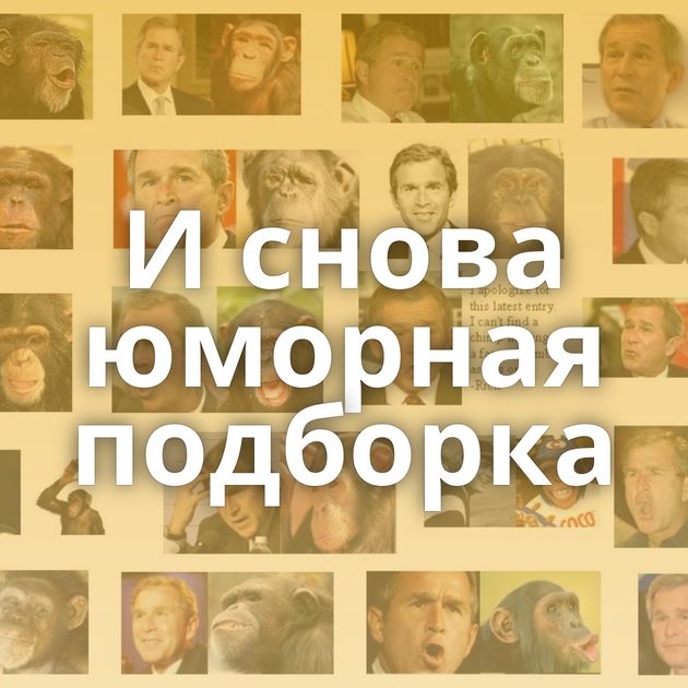 И снова юморная подборка