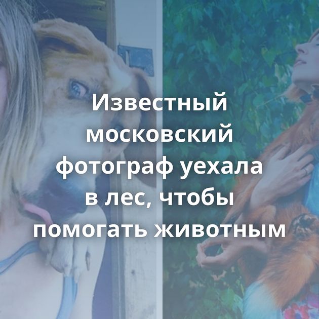 Известный московский фотограф уехала в лес, чтобы помогать животным