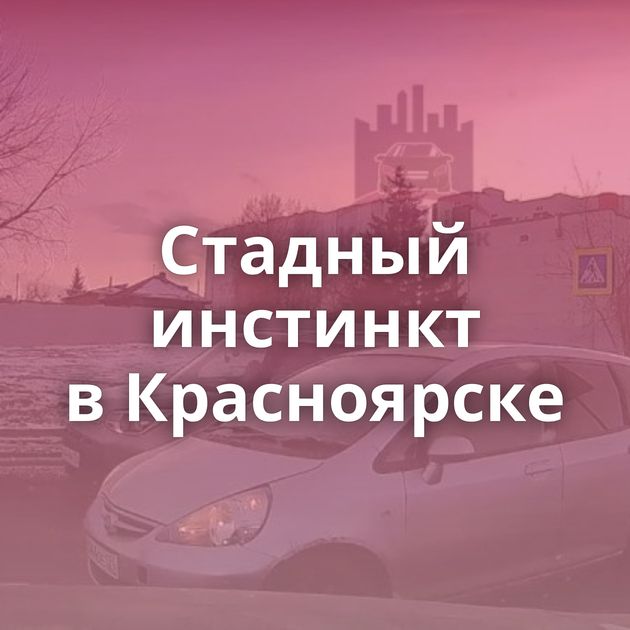 Стадный инстинкт в Красноярске