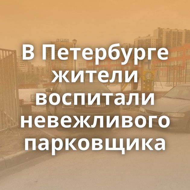 В Петербурге жители воспитали невежливого парковщика