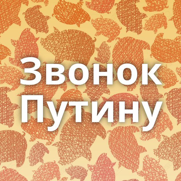 Звонок Путину