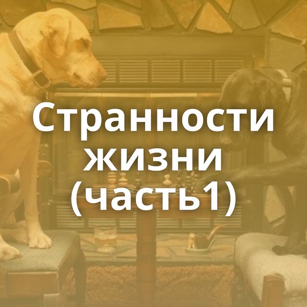 Странности жизни (часть1)