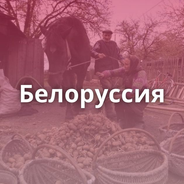 Белоруссия