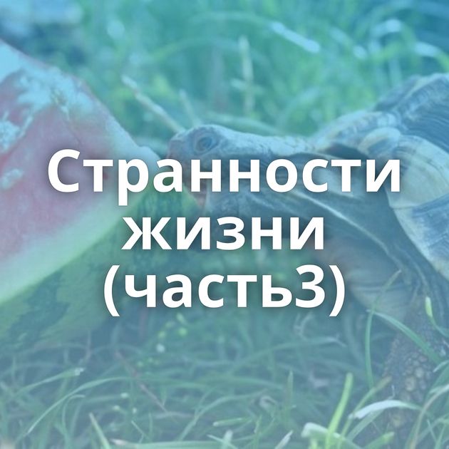 Странности жизни (часть3)