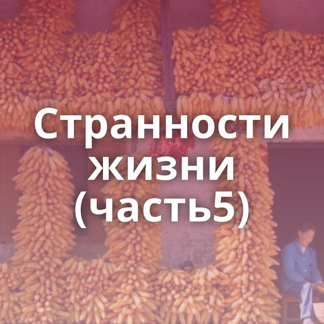 Странности жизни (часть5)