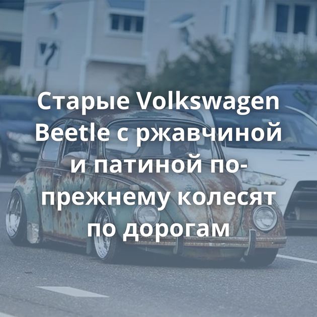Старые Volkswagen Beetle с ржавчиной и патиной по-прежнему колесят по дорогам