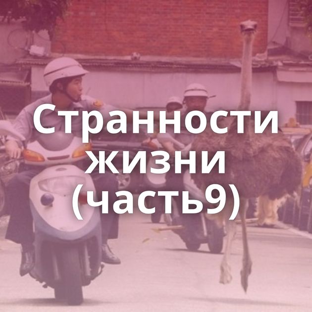 Странности жизни (часть9)