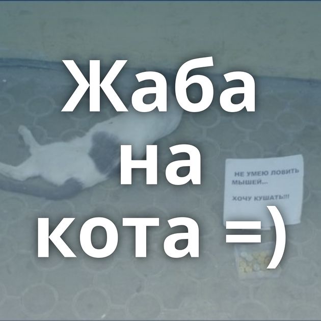 Жаба на кота =)