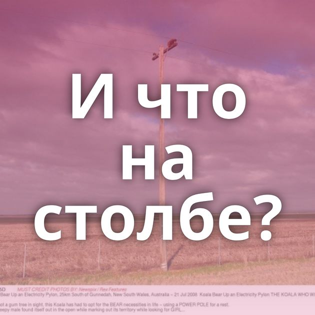 И что на столбе?