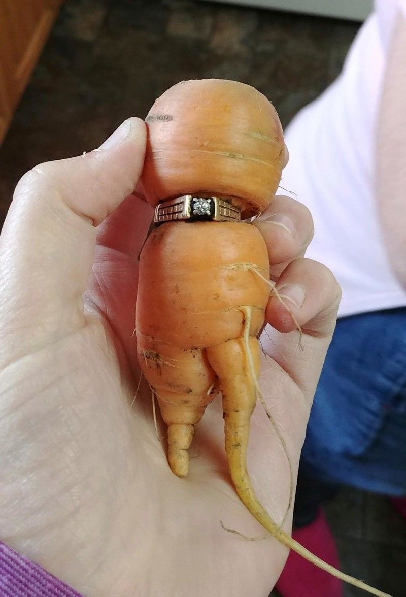 Обручальное кольцо на морковке