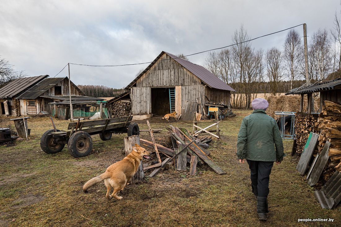 Самый сельский. Жизнь в деревне. Жизнь в селе. Старушка в деревне. Правильный двор в деревне.