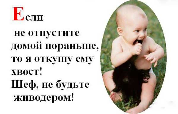 Можно домой. Отпустите пораньше с работы. Отпустите домой с работы. Отпустите пораньше с работы пятница. Пятница отпустите домой.