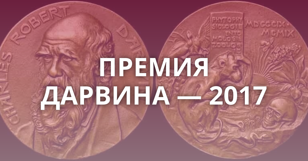 Премия дарвина список самых глупых смертей 2020